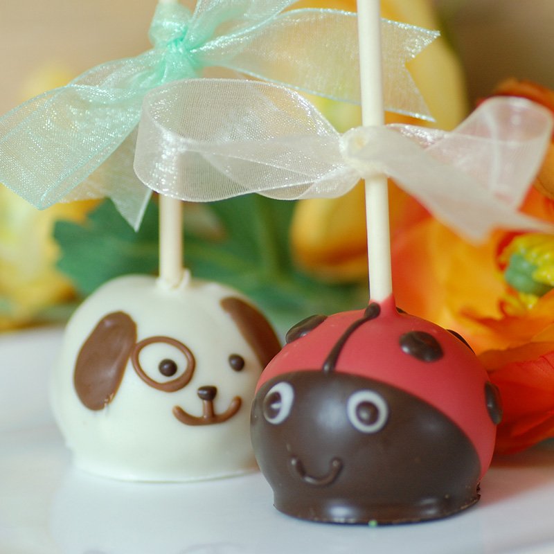 Brownie Pals Party Favors 2028