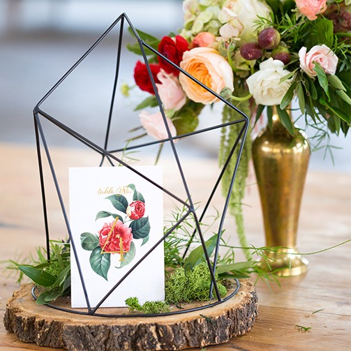 Botanical Table Numbers 9667