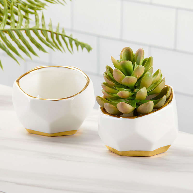 Ceramic Plant Holder