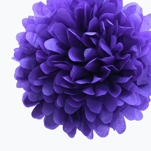 Tissue Paper Pom Poms 4242