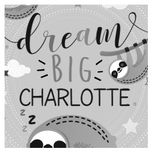 Dream Big
