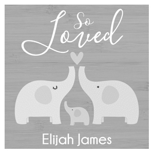 Elephant Family