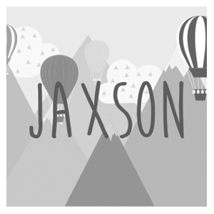Hot Air Balloon